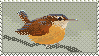 bird on branch